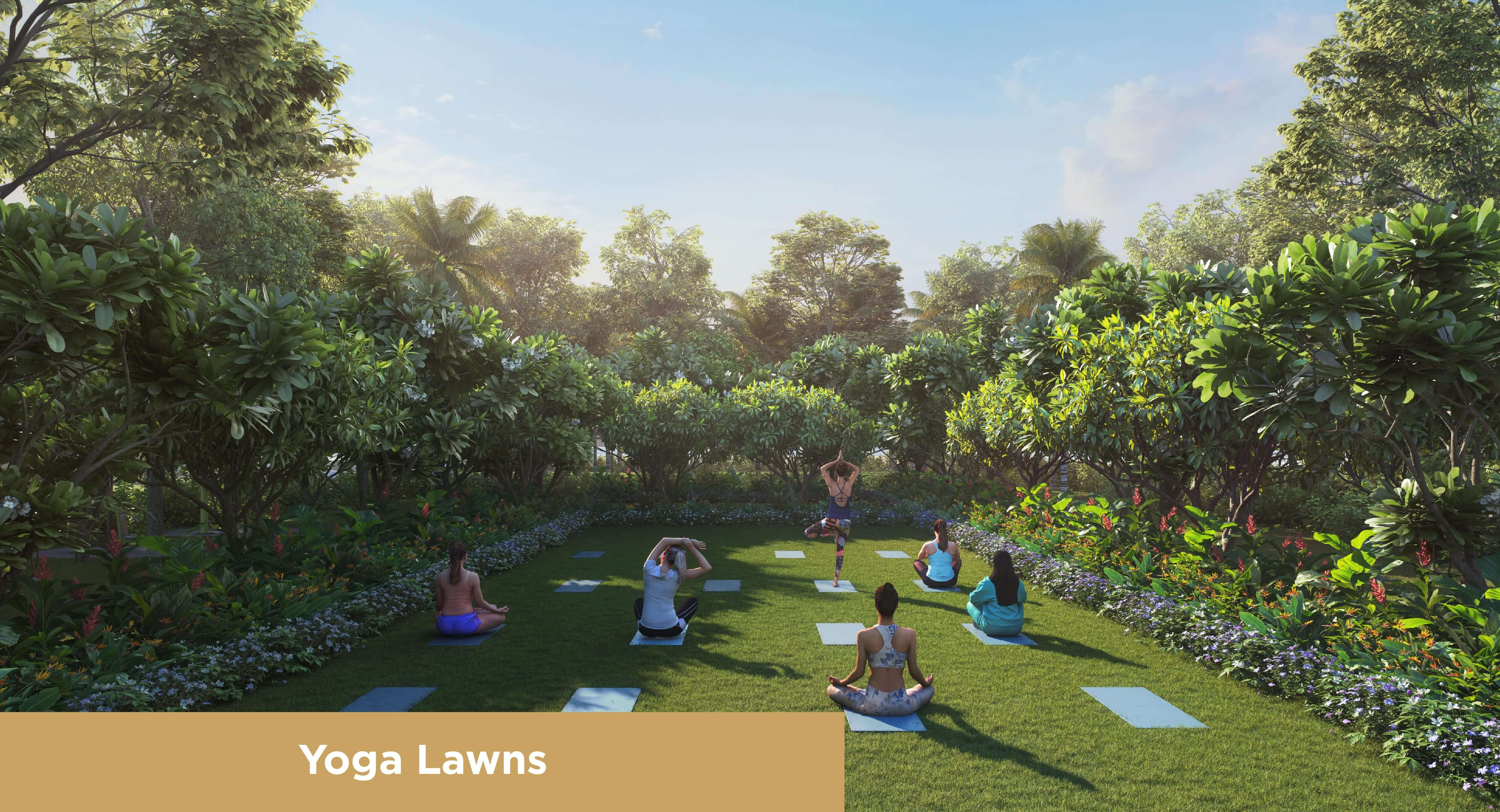 Yoga Lawns